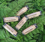 Six packaged lip balms, one of each flavor, on a bed of ferns